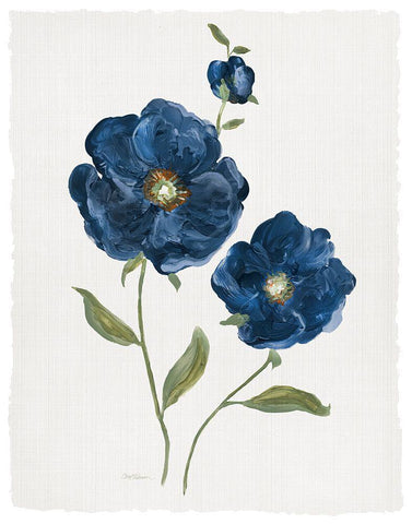 Blue Poppies Black Ornate Wood Framed Art Print with Double Matting by Robinson, Carol