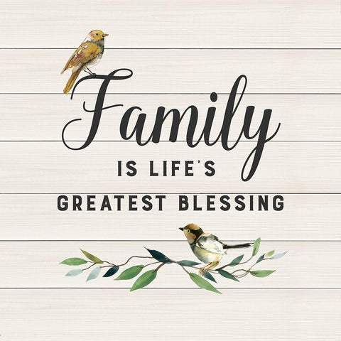 Family Birds White Modern Wood Framed Art Print by Robinson, Carol