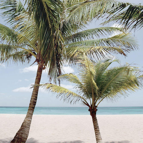 Quiet Escape I White Modern Wood Framed Art Print by Carpentieri, Natalie