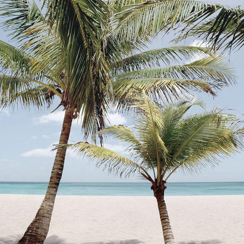 Quiet Escape I White Modern Wood Framed Art Print with Double Matting by Carpentieri, Natalie