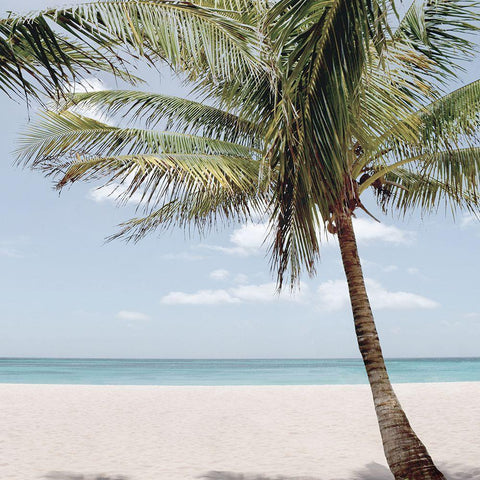 Quiet Escape II Black Ornate Wood Framed Art Print with Double Matting by Carpentieri, Natalie