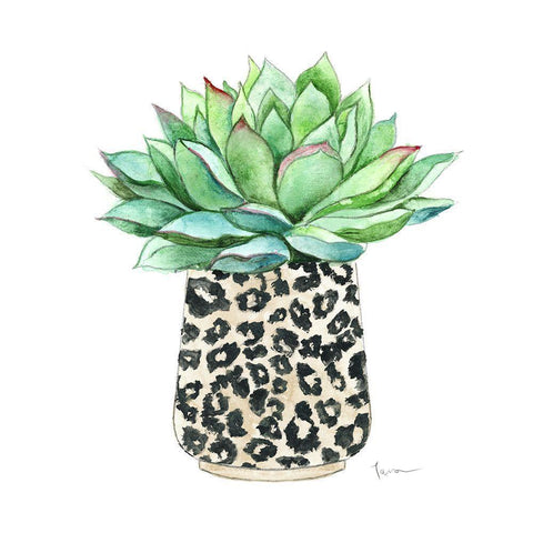 Spotted Succulent Black Modern Wood Framed Art Print with Double Matting by Tava Studios