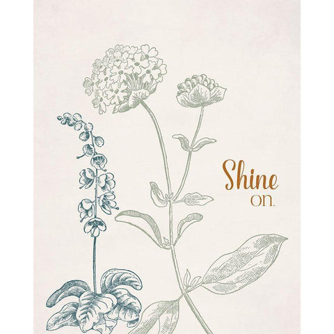 Shine On Black Modern Wood Framed Art Print with Double Matting by Santiago, Daniela