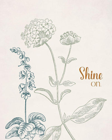 Shine On White Modern Wood Framed Art Print with Double Matting by Santiago, Daniela
