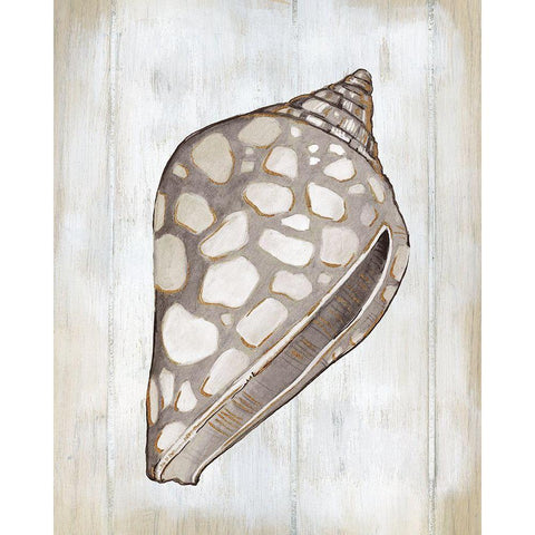 Ocean Cone I White Modern Wood Framed Art Print by Robinson, Carol