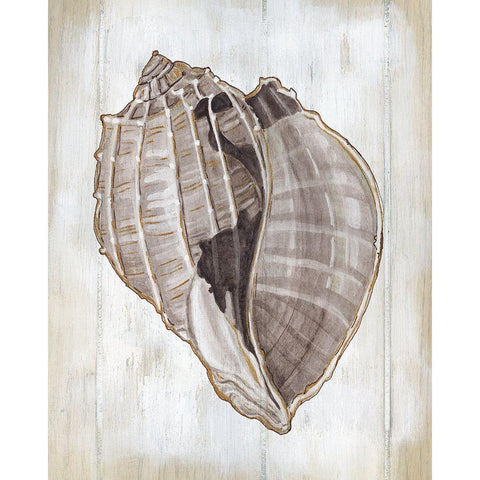 Ocean Cone II White Modern Wood Framed Art Print by Robinson, Carol