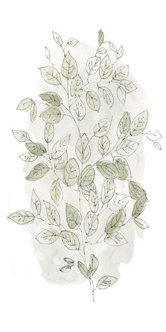 Leafy Branch I Black Ornate Wood Framed Art Print with Double Matting by Finn, Livi