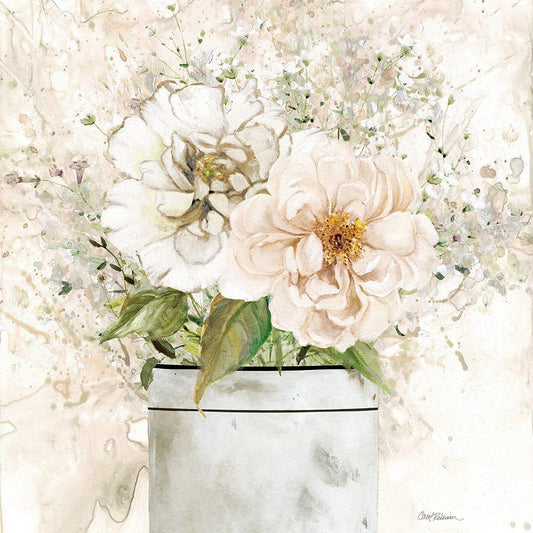 Image Only