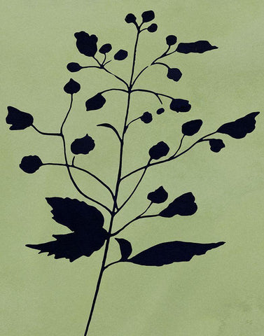 Earthly Botanical II White Modern Wood Framed Art Print with Double Matting by Jill, Susan