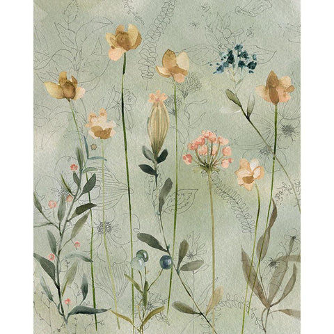 Botanical Sketchbook White Modern Wood Framed Art Print by Finn, Livi