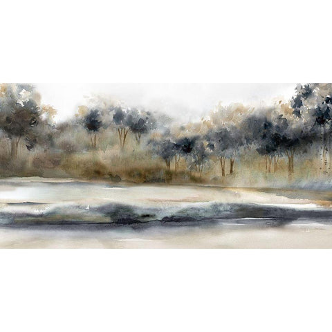 Silent River Black Modern Wood Framed Art Print with Double Matting by Robinson, Carol