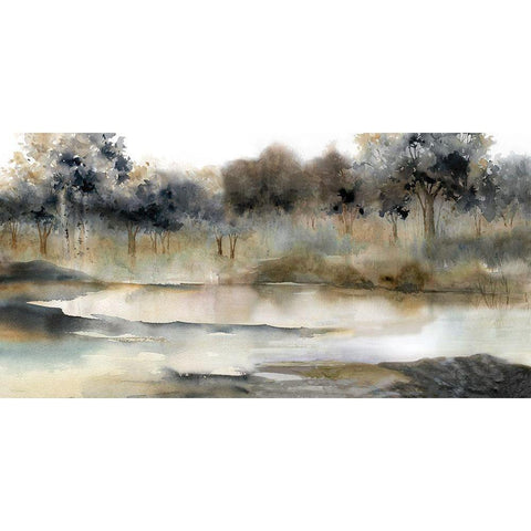 Serene River Black Modern Wood Framed Art Print with Double Matting by Robinson, Carol