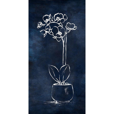 Indigo Orchid II Black Modern Wood Framed Art Print with Double Matting by Tava Studios