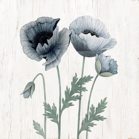 Poppies II Black Modern Wood Framed Art Print with Double Matting by Gunn, Kourtni