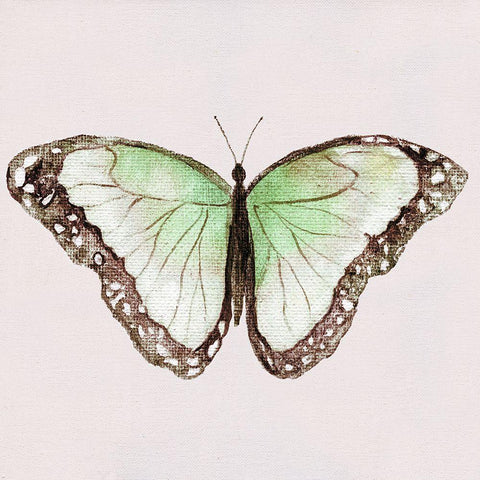 Emerald Butterfly I Black Ornate Wood Framed Art Print with Double Matting by Tava Studios