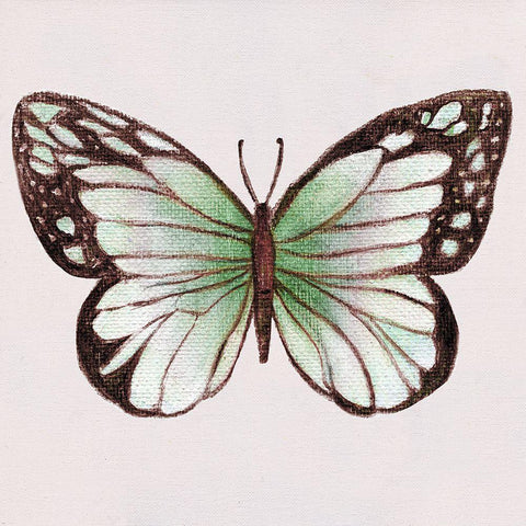 Emerald Butterly II White Modern Wood Framed Art Print with Double Matting by Tava Studios