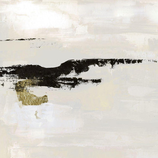 Image Only