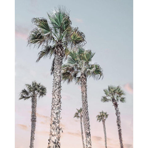 Palm Up II White Modern Wood Framed Art Print by Carpentieri, Natalie