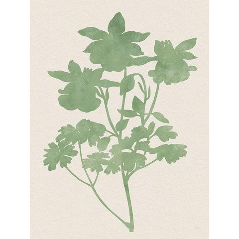 Vintage Garden I Black Modern Wood Framed Art Print with Double Matting by Jill, Susan