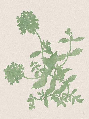 Vintage Garden II White Modern Wood Framed Art Print with Double Matting by Jill, Susan