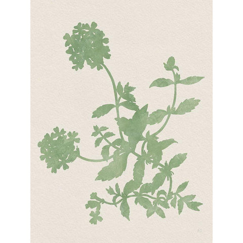 Vintage Garden II Black Modern Wood Framed Art Print by Jill, Susan
