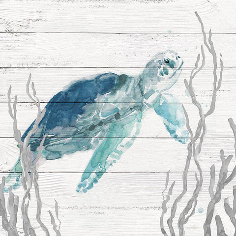 Aqua Turtle I White Modern Wood Framed Art Print by Robinson, Carol