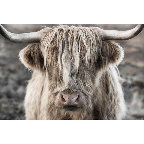 Highland Skye White Modern Wood Framed Art Print by Delimont, Danita