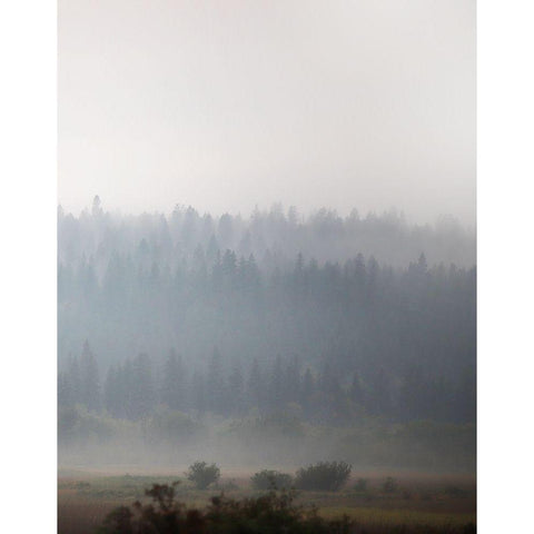 Morning Glow I Black Modern Wood Framed Art Print with Double Matting by Robinson, Carol