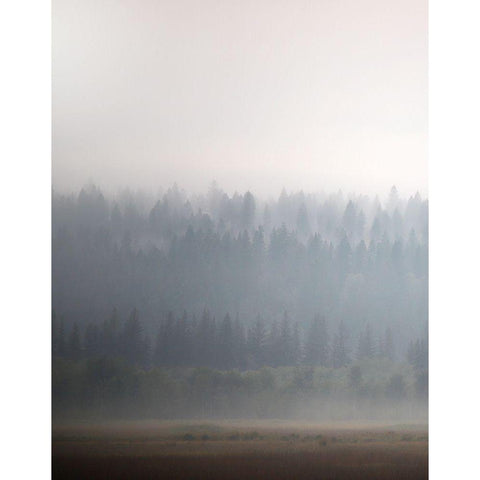 Morning Glow II Black Modern Wood Framed Art Print with Double Matting by Robinson, Carol