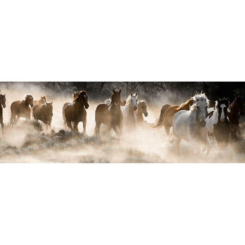 Kicking Up Dust Black Modern Wood Framed Art Print with Double Matting by Delimont, Danita