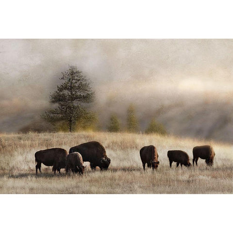 Ridge Grazing Gold Ornate Wood Framed Art Print with Double Matting by Delimont, Danita