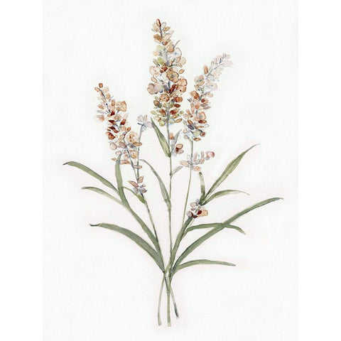 Dainty Botanical I White Modern Wood Framed Art Print by Swatland, Sally