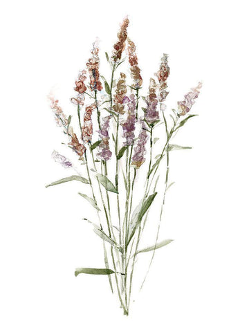 Dainty Botanical III White Modern Wood Framed Art Print with Double Matting by Swatland, Sally