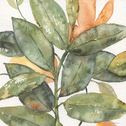 Plantlife I Black Modern Wood Framed Art Print by Robinson, Carol