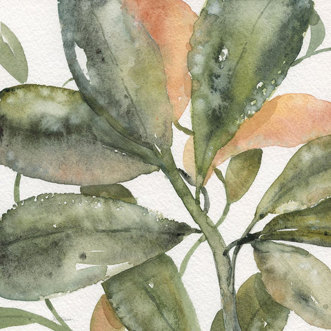 Plantlife II Black Ornate Wood Framed Art Print with Double Matting by Robinson, Carol