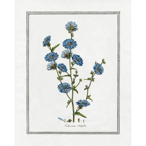 Soft Botanical I White Modern Wood Framed Art Print by CAD Designs