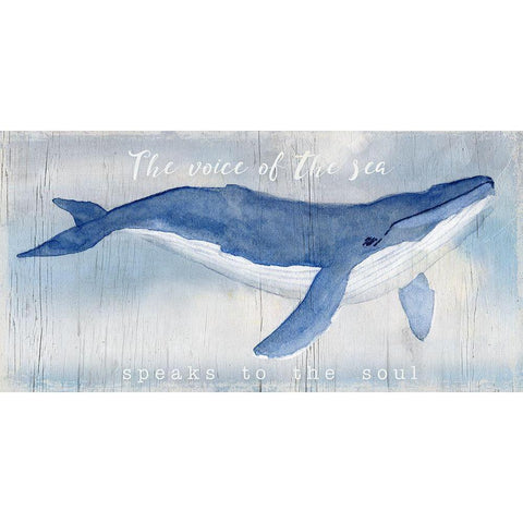 Voice of the Sea Black Modern Wood Framed Art Print with Double Matting by Swatland, Katie