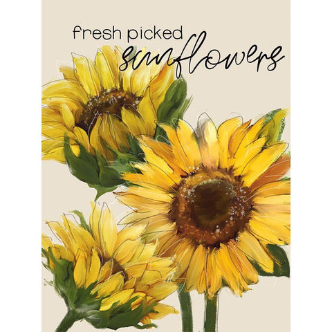 Fresh Picked Sunflowers Black Modern Wood Framed Art Print with Double Matting by Knutsen, Conrad