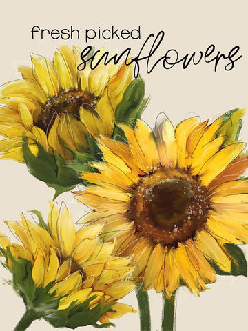 Fresh Picked Sunflowers White Modern Wood Framed Art Print with Double Matting by Knutsen, Conrad