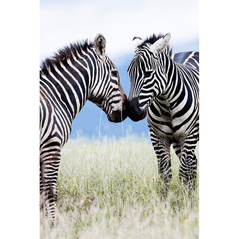 African Affection Black Modern Wood Framed Art Print with Double Matting by Delimont, Danita