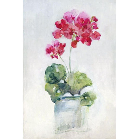 Soft Geranium II White Modern Wood Framed Art Print by Swatland, Sally