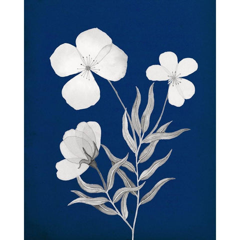 Indigo Sketch I Black Modern Wood Framed Art Print by Gunn, Kourtni