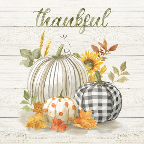 Thankful Pumpkins White Modern Wood Framed Art Print with Double Matting by Nan