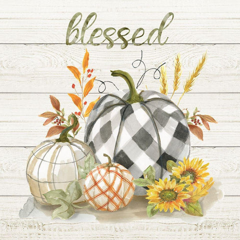 Blessed Pumpkins Black Modern Wood Framed Art Print with Double Matting by Nan