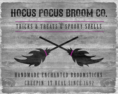 Hocus Pocus Broom Company White Modern Wood Framed Art Print with Double Matting by Carpentieri, Natalie