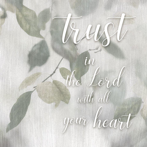 Trust In White Modern Wood Framed Art Print with Double Matting by Weisz, Irene