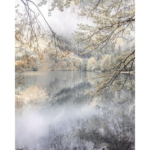 Misty Lake Gold Ornate Wood Framed Art Print with Double Matting by Weisz, Irene