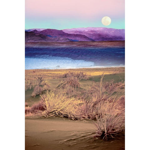 Moonrise, Namibia White Modern Wood Framed Art Print by Delimont, Danita