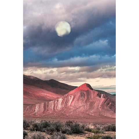 Last Light On Striped Butte White Modern Wood Framed Art Print by Delimont, Danita