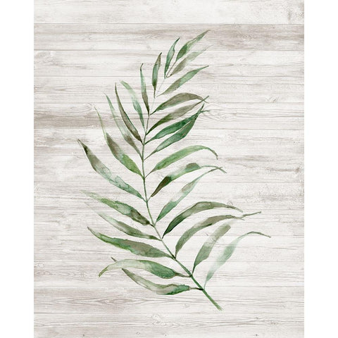 Tropic Frond I Black Modern Wood Framed Art Print by Nan